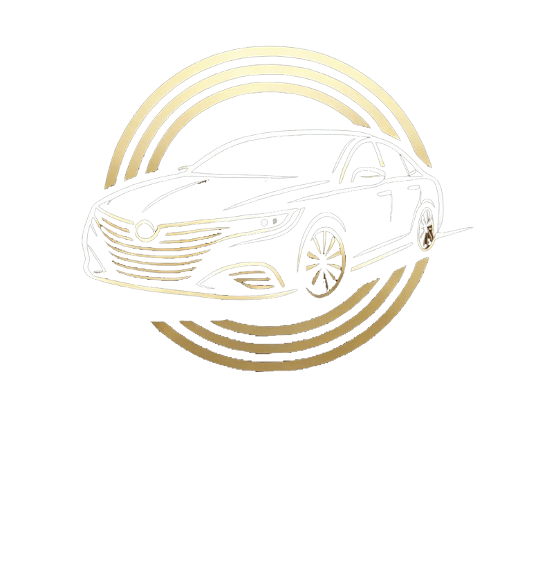 Traslados miguel logotipo